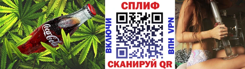 Canna-Cookies марихуана  блэк спрут зеркало  Чаплыгин 