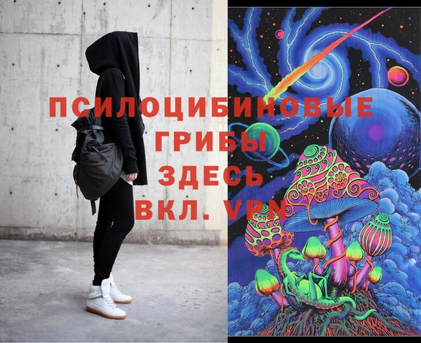 гидропоника Алзамай