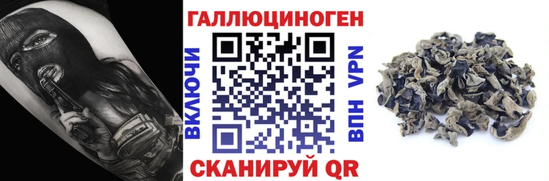 купить наркотики сайты  Чаплыгин  Псилоцибиновые грибы Cubensis 